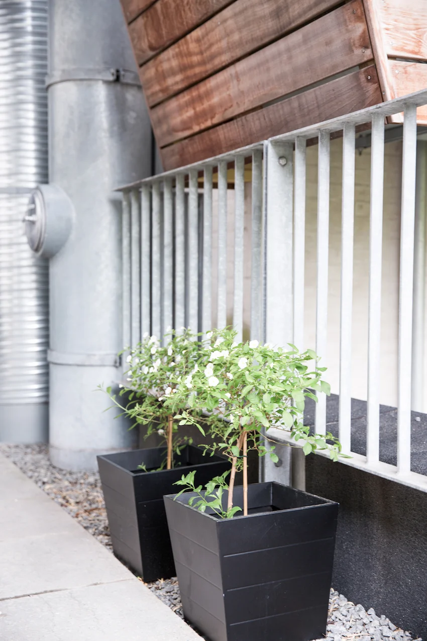 Valby-Tingsted-4b-Maimouselle-023.jpg