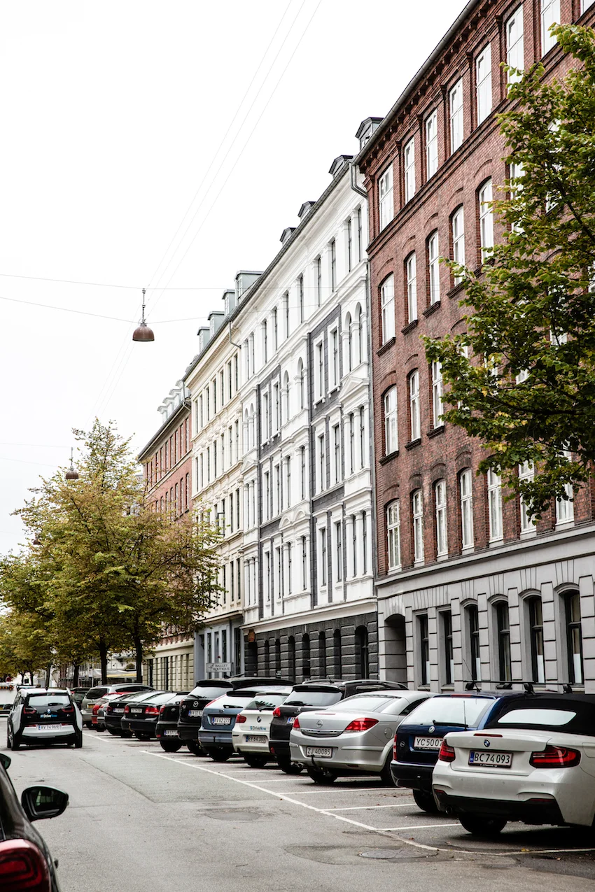 Peder-Skrams-Gade-8-Maimouselle-100.jpg