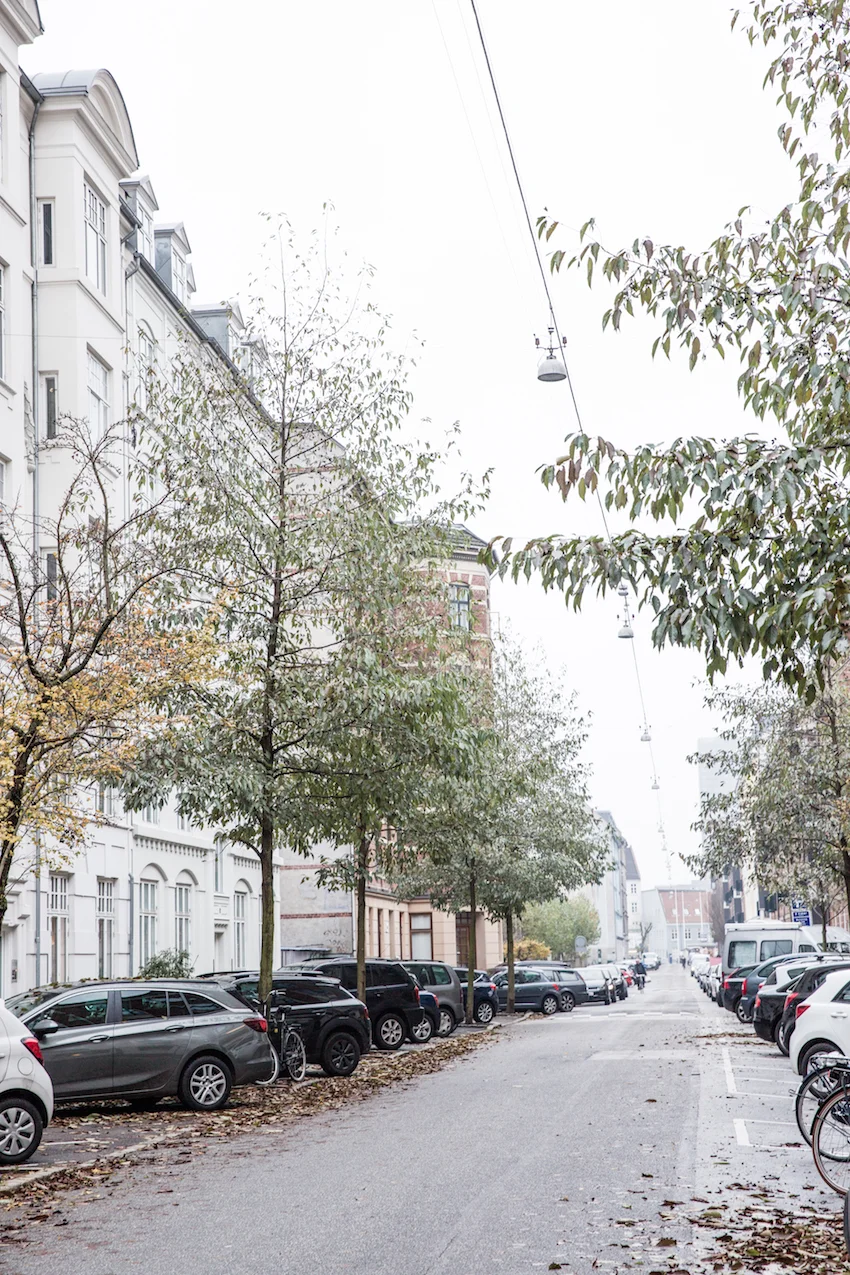Henrik-Ibsens-Vej-9-Maimouselle-115.jpg