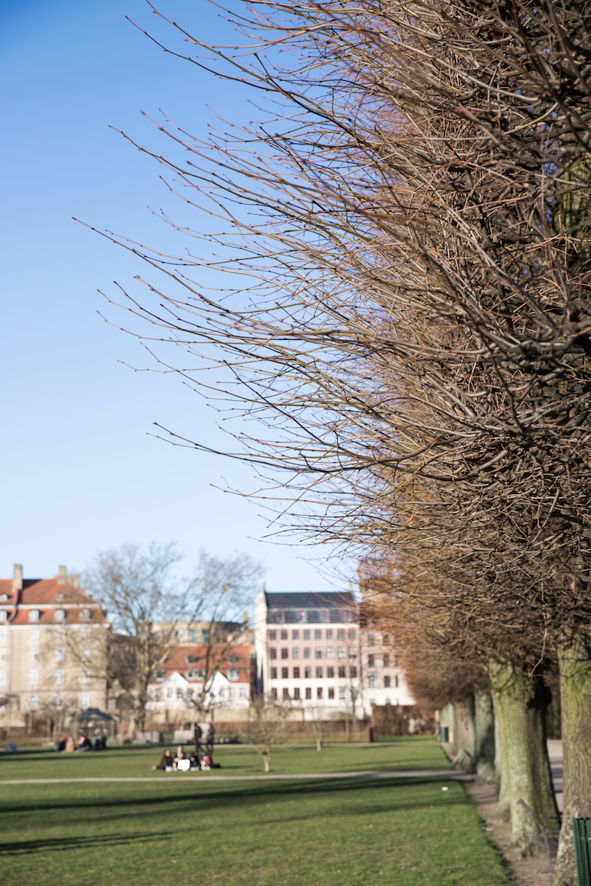Hauser-Plads-16C-Maimouselle-139.jpg