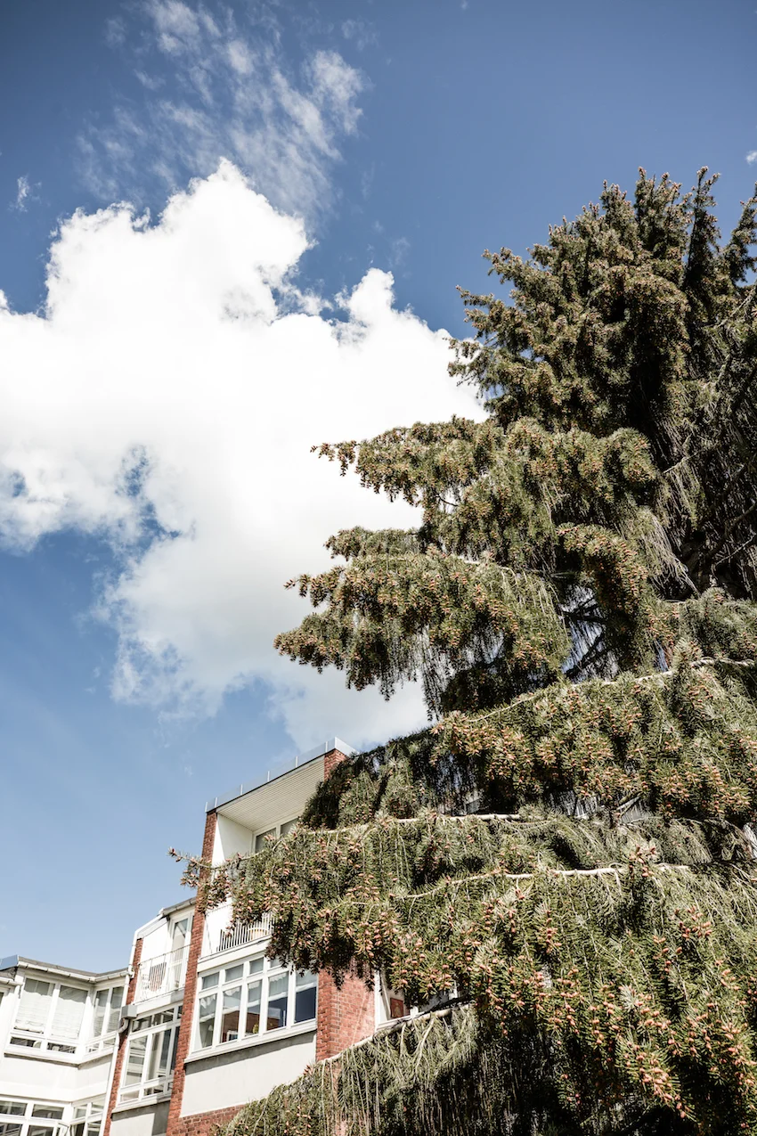 Ordrupvej 132F-Maimouselle-104.jpg