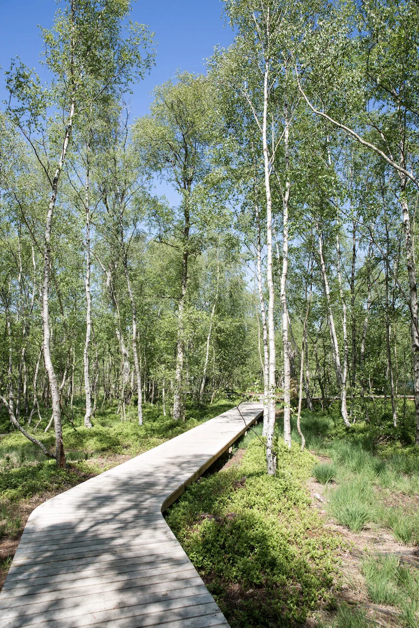 Oesterlund-1-Maimouselle-298.jpg