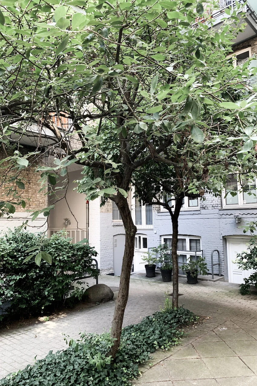 Soelvgade-102-Maimouselle-189.jpg
