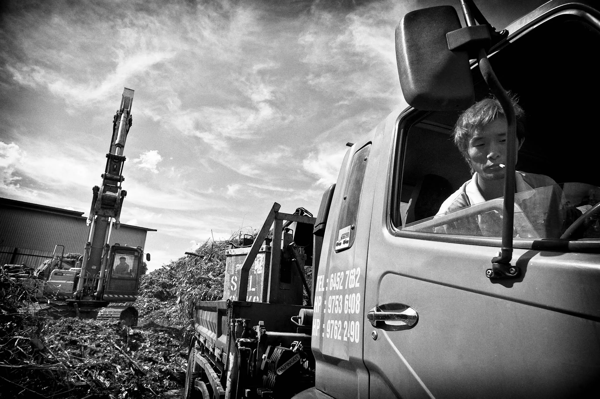 Long Xing-China-Tree Cutter-Pix Gallery_05.jpg
