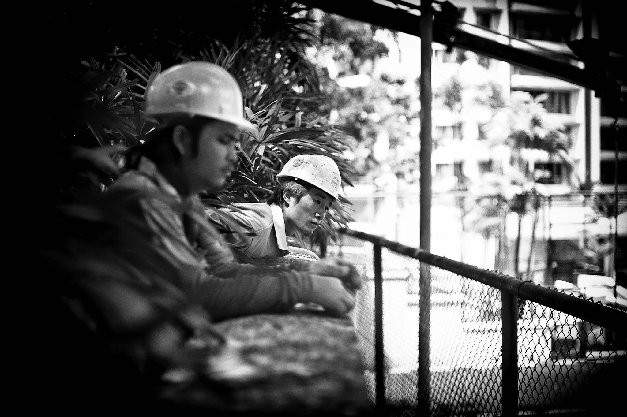 Long Xing-China-Tree Cutter-Pix Gallery_12.jpg