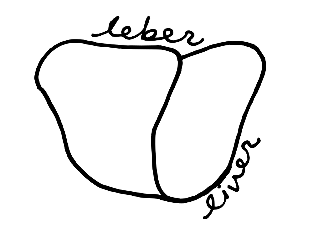 leber.png
