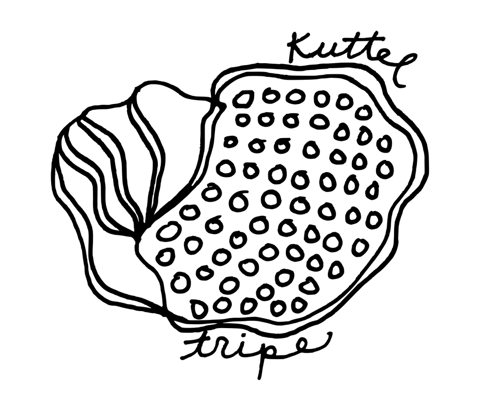 kuttel.png