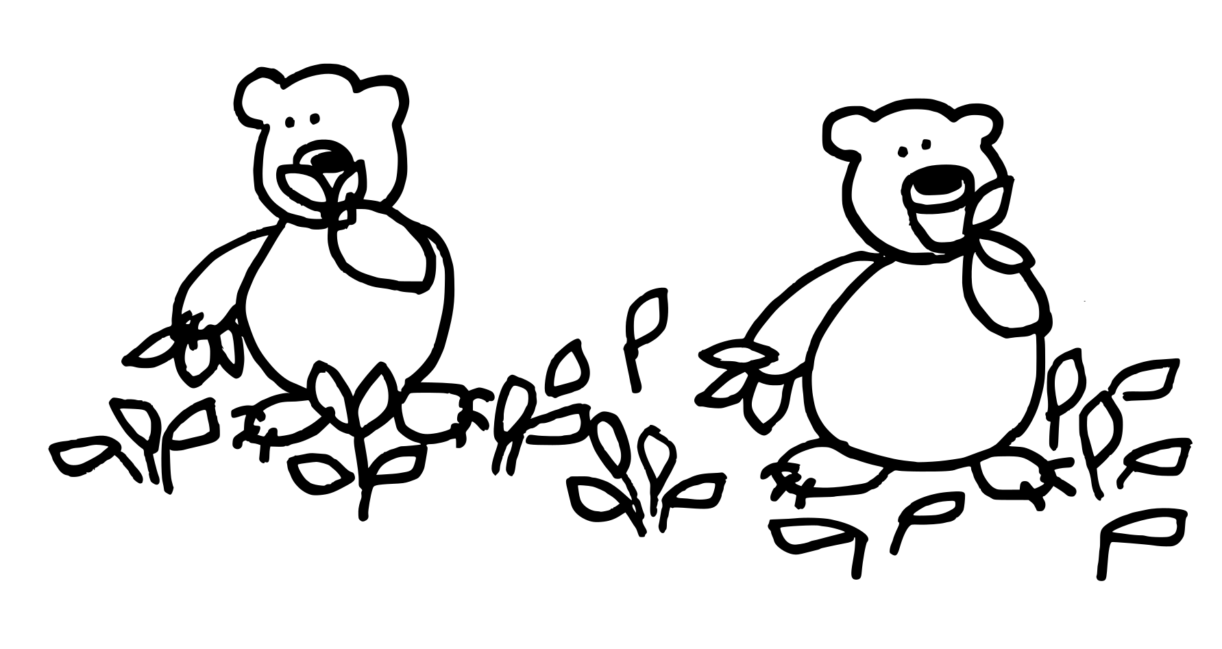 bearslauch.png