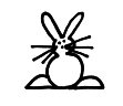 bunny.png