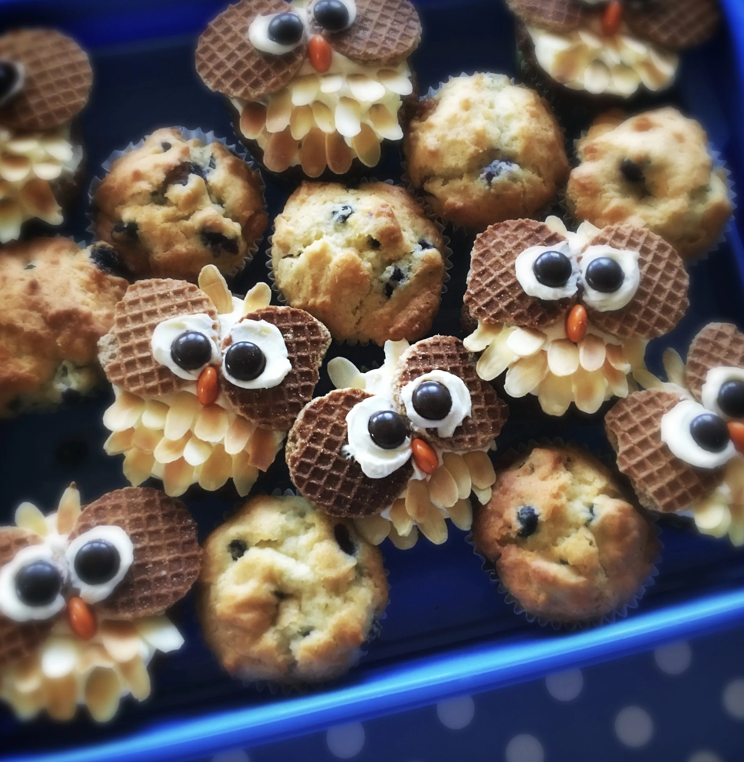 Waldspielgruppe Muffins