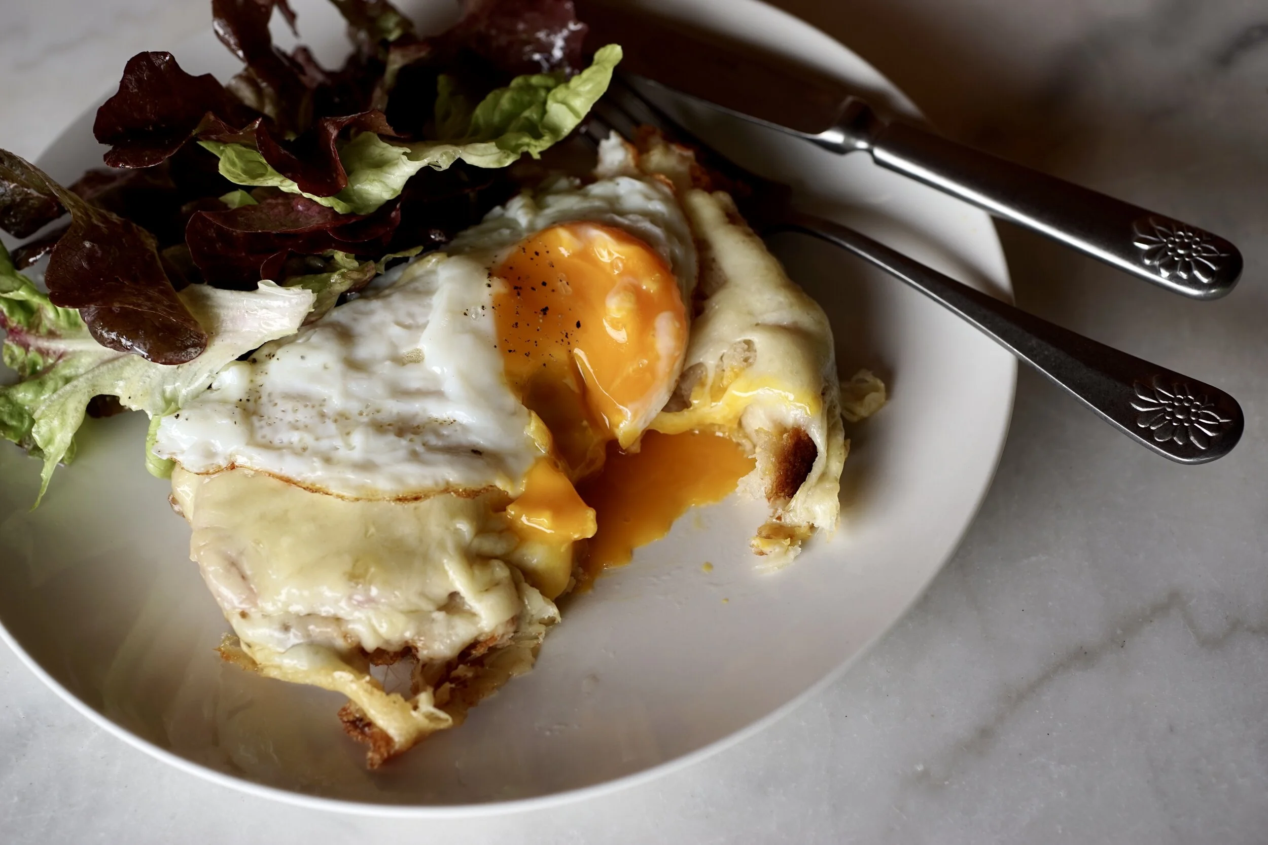 Bären Käseschnitte