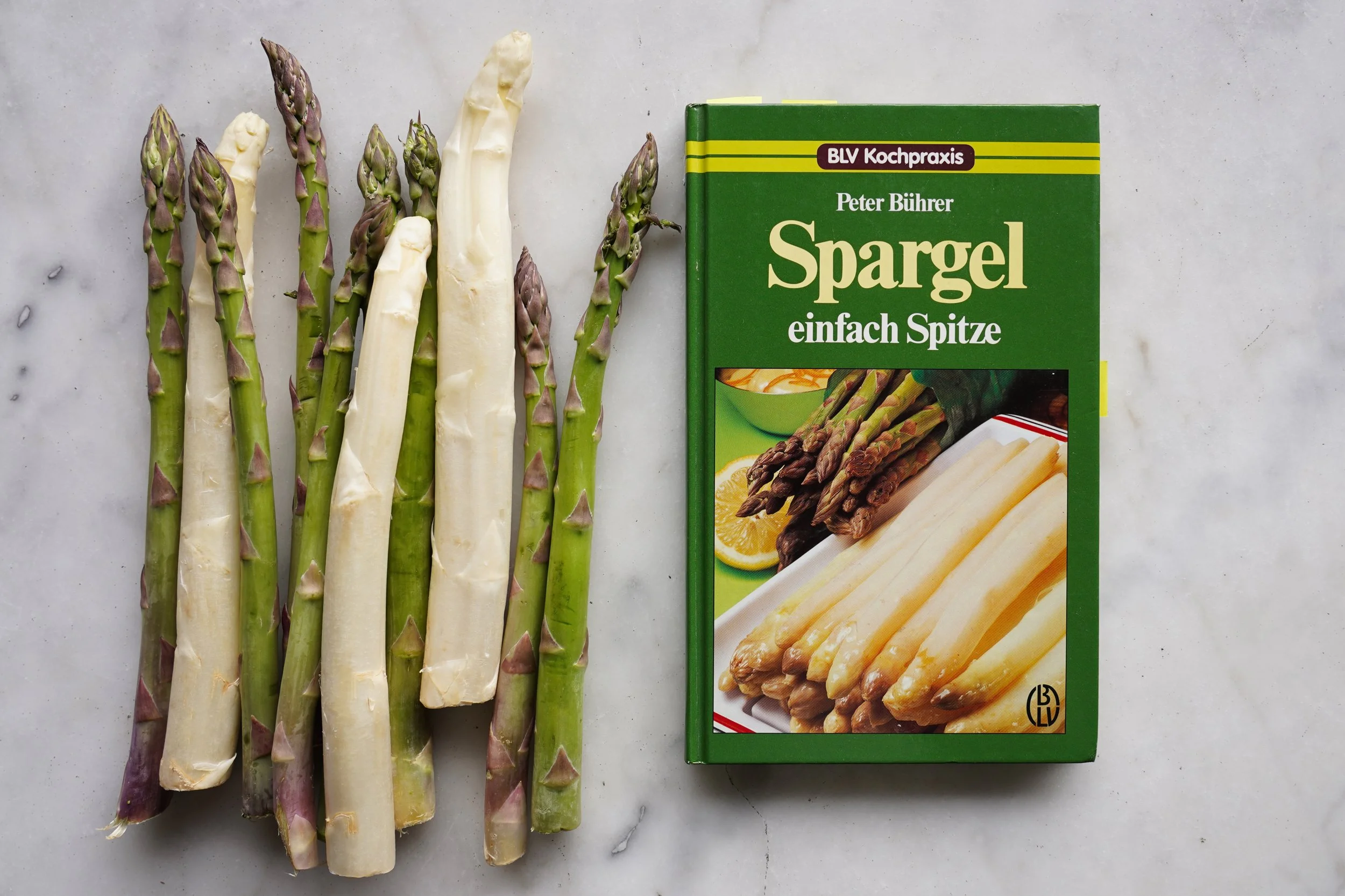 Spargel einfach Spitze