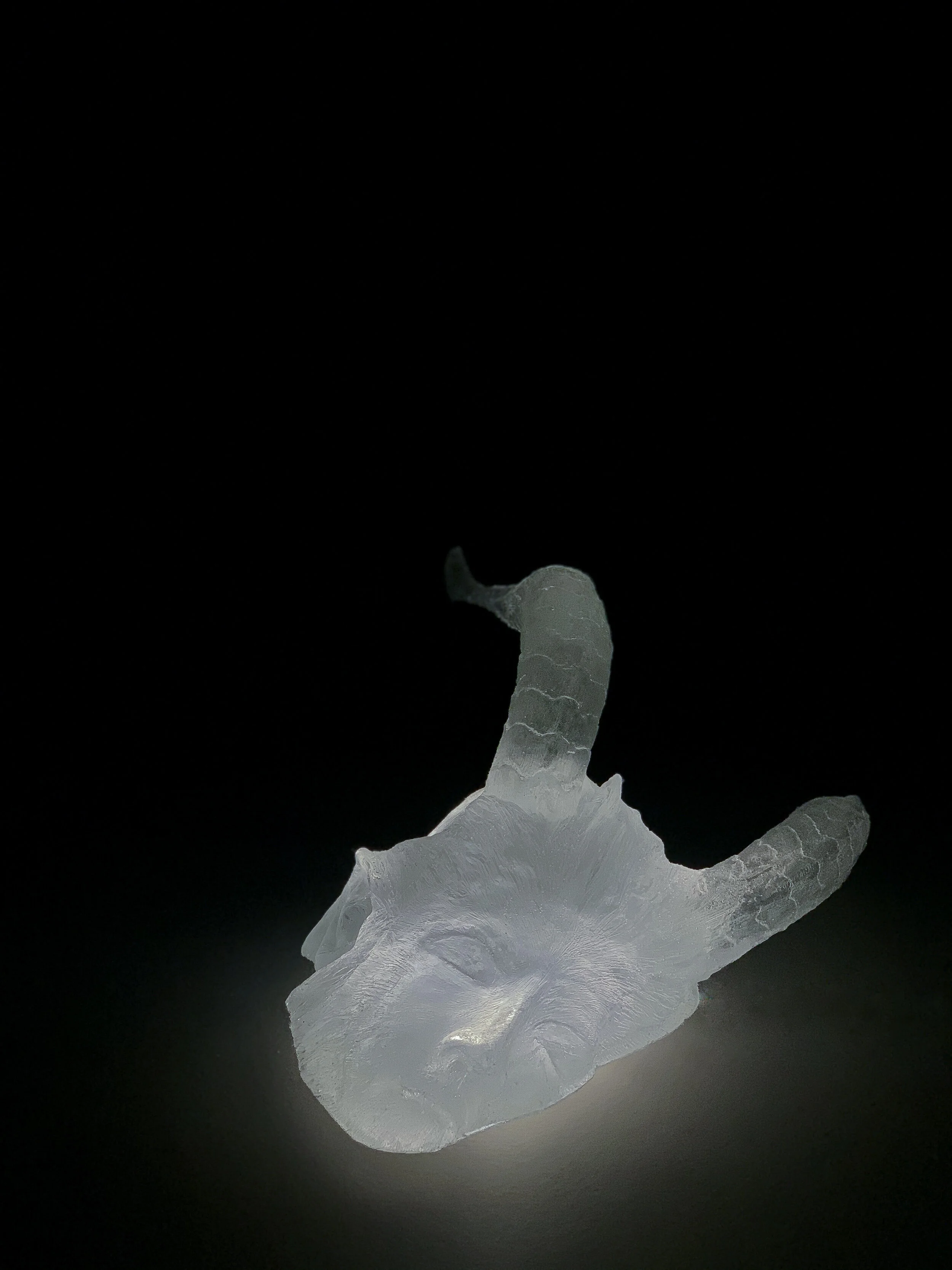    Cole Lu     March 28 - May 16, 2020 