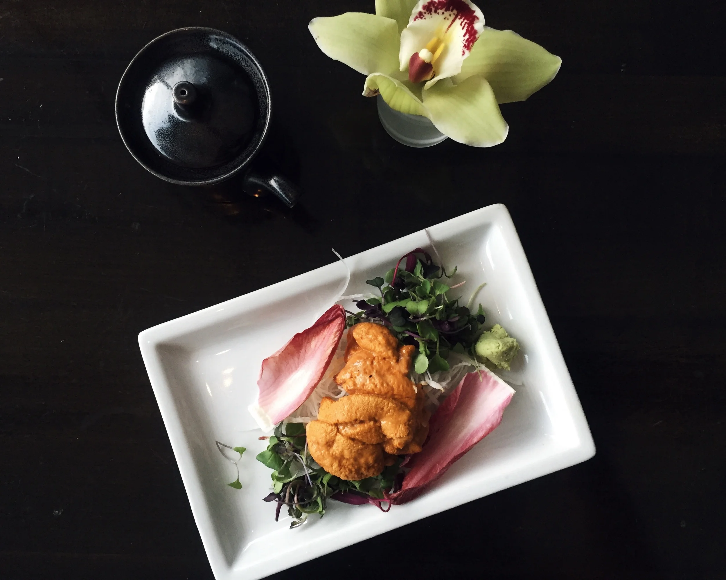 Sea Urchin