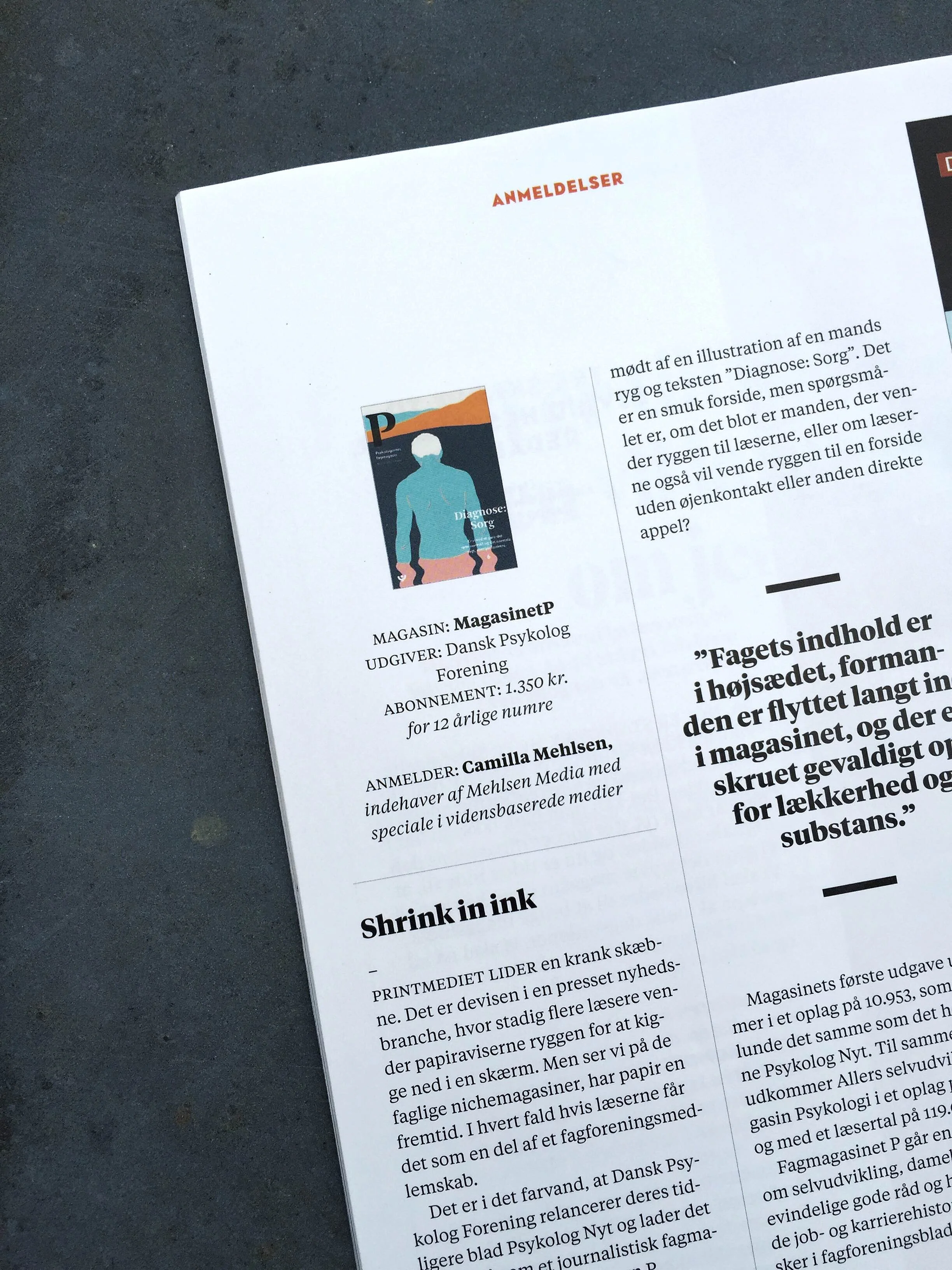Anmeldelse af Magasinet P