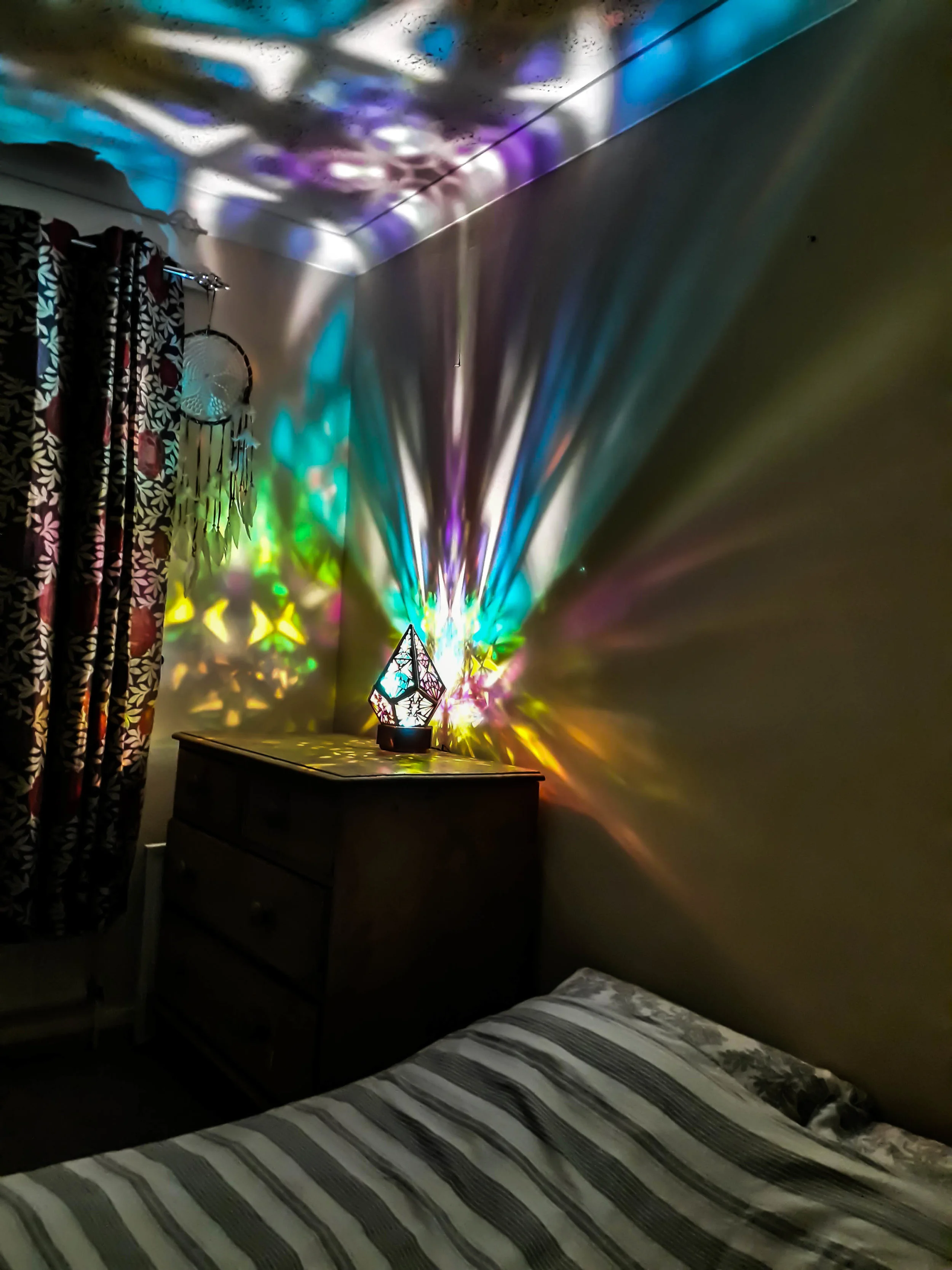 20181105_165035.jpg