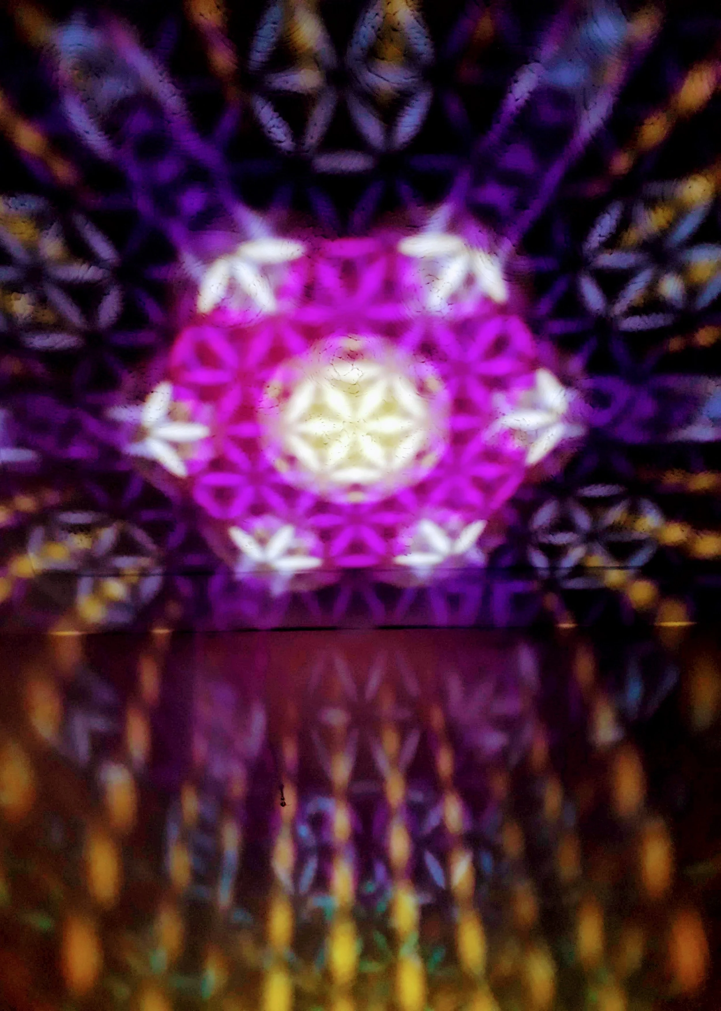 20190530_212900.jpg