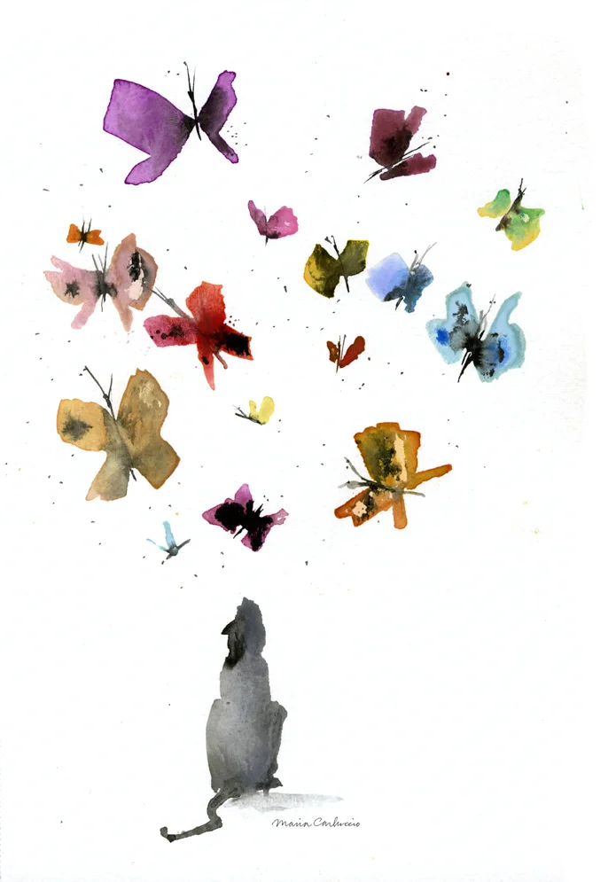 cat+and+butterflies100sig.jpg