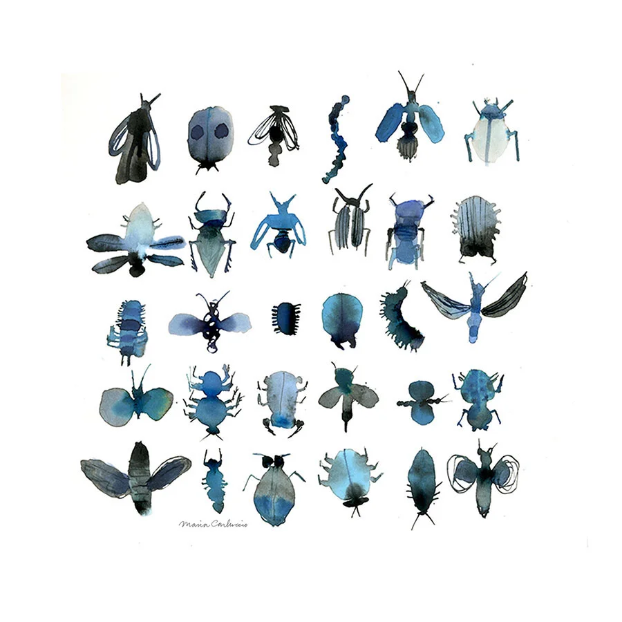 more+quirl=ky+bugs_100sig.jpg