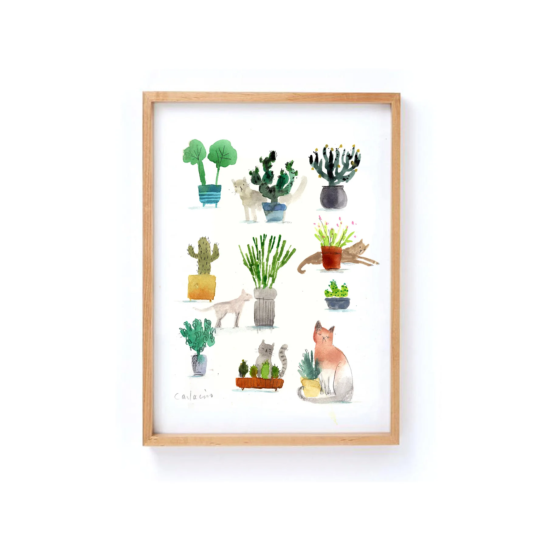 Cats and Plants_FRAME.jpg