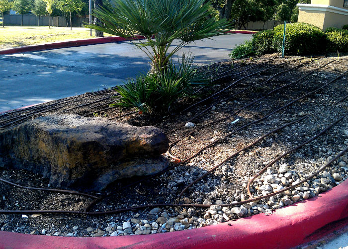 2-Front Bed-Drip Install-Abbey Grande Oaks.jpg