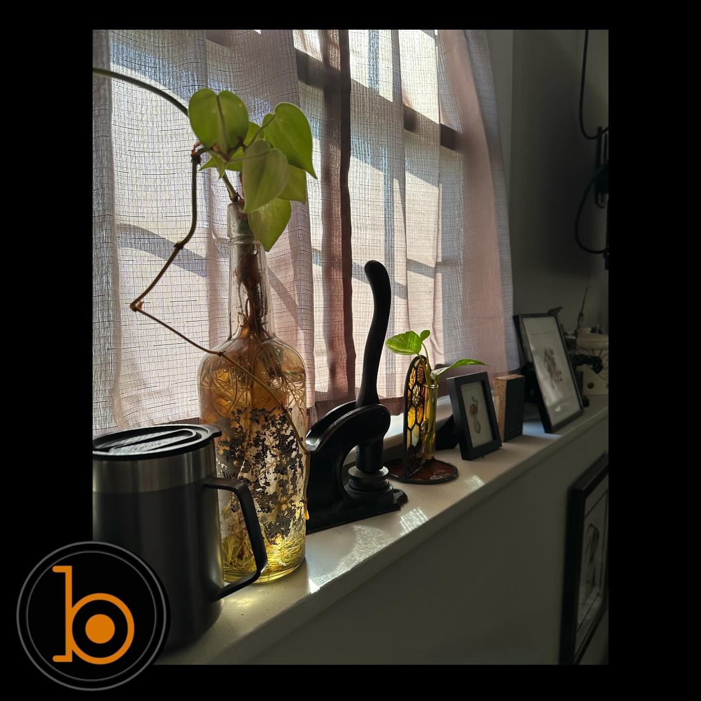 It&rsquo;s another round of &ldquo;whose work space is that?!&rdquo; Any guesses on who works in this space? 
➖➖➖➖➖➖➖➖➖➖➖➖➖➖➖➖➖
Blueprint Gallery
138 Russell St
 Hadley MA 01035
📱(413)-387-0221 
WALK-INS WELCOME 
🕸️ www.blueprintgallery.com 🕸️
.
.