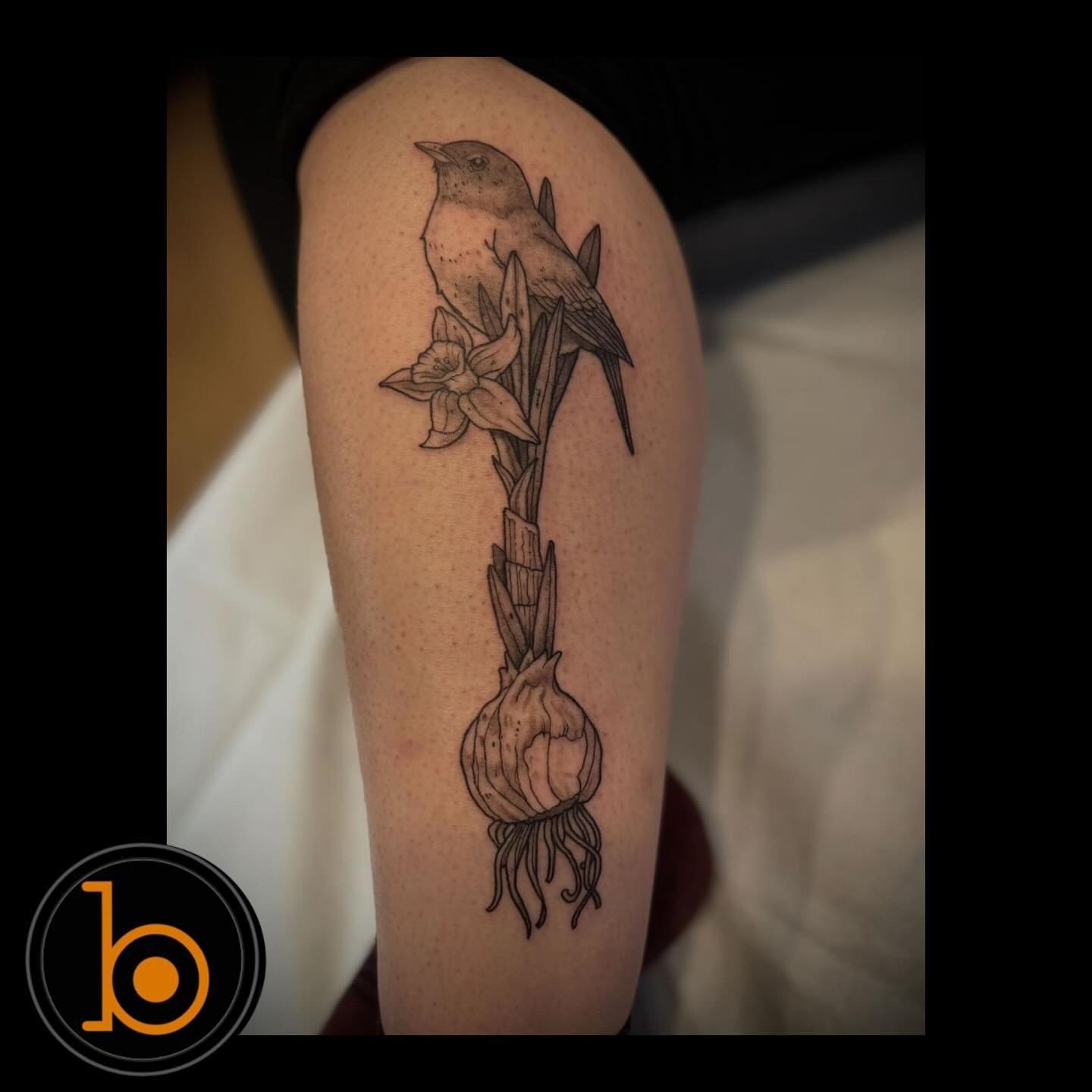 A collection of birds and plants by resident artist @rick.beaupre 🦅🦜🐥🌱🪴🪻
➡️SWIPE➡️ to see it get spooky!
➖➖➖➖➖➖➖➖➖➖➖➖➖➖➖➖➖
Blueprint Gallery
138 Russell St
 Hadley MA 01035
📱(413)-387-0221 
WALK-INS WELCOME 
🕸️ www.blueprintgallery.com 🕸️
⬇️