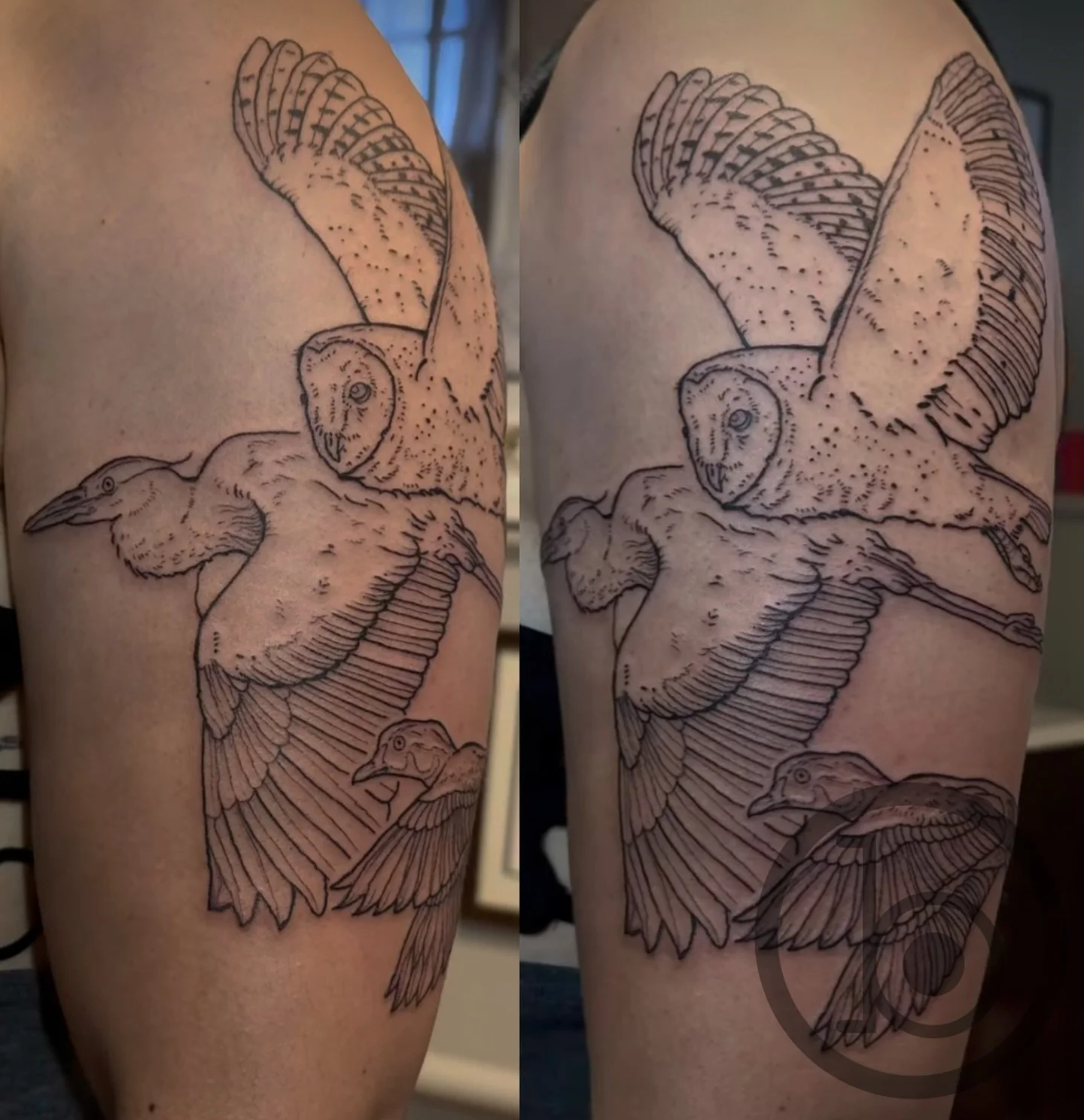 By resident artist @rick.beaupre 
➖➖➖➖➖➖➖➖➖➖➖➖➖➖➖➖➖
Blueprint Gallery
138 Russell St
 Hadley MA 01035
📱(413)-387-0221 
WALK-INS WELCOME 
🕸️ www.blueprintgallery.com 🕸️
.
.
.
.
.
.
.
.
.
#lineworktattoo#woodcuttattoo#birdtattoo#owltattoo#herontatto