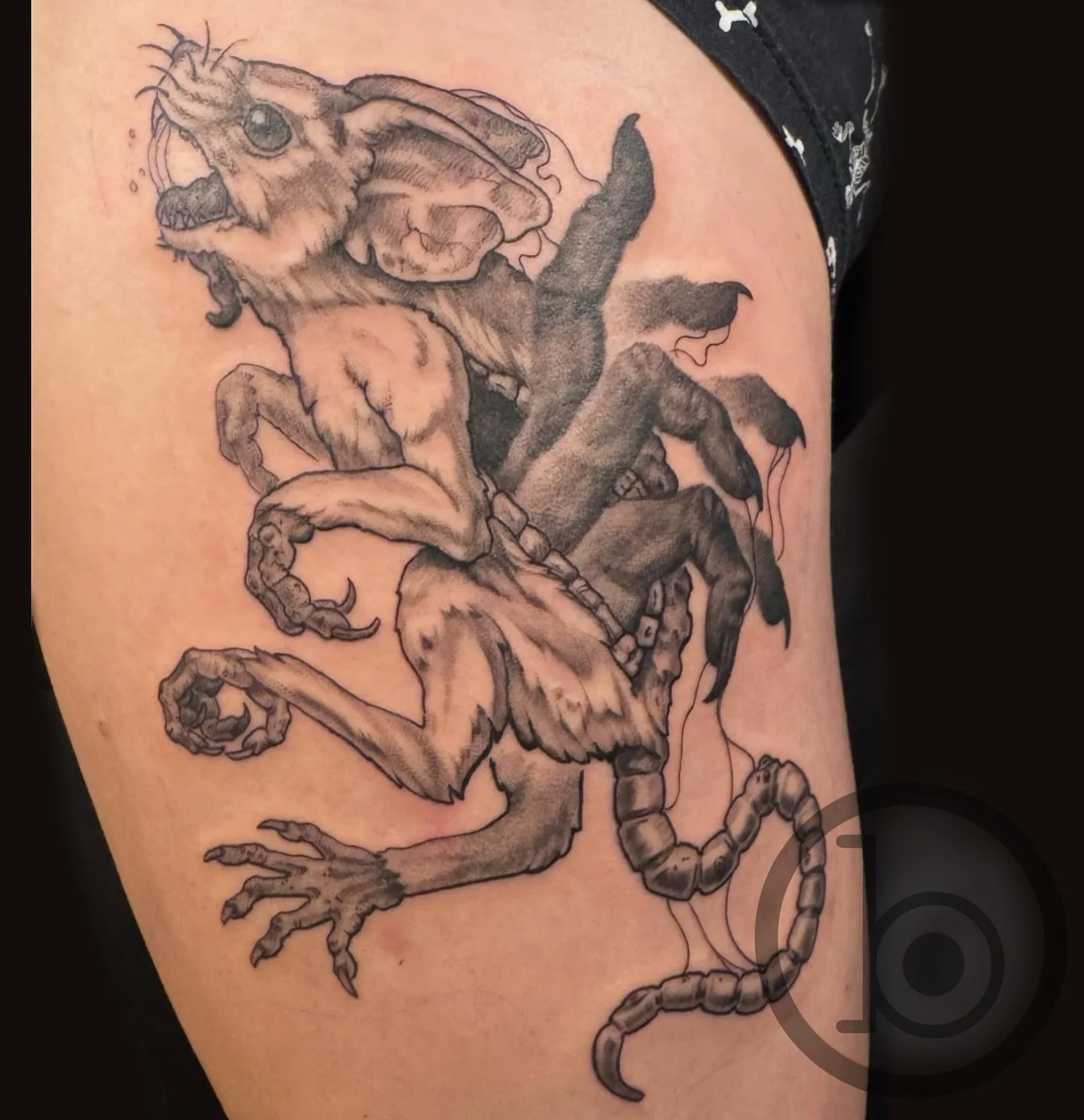 By resident artist @vct.tattoos 
➖➖➖➖➖➖➖➖➖➖➖➖➖➖➖➖➖
Blueprint Gallery
138 Russell St
 Hadley MA 01035
📱(413)-387-0221 
WALK-INS WELCOME 
🕸️ www.blueprintgallery.com 🕸️
.
.
.
.
.
.
.
.
.
#tattoo#rattattoo#cooltattoo#weirdtattoo#blackandgreytattoo#ne