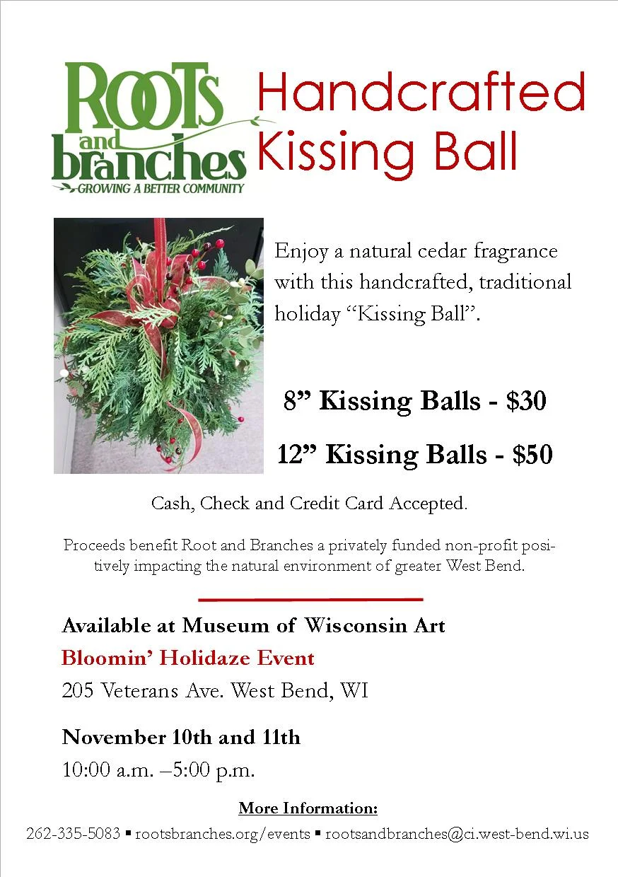 Kissing Ball Poster.jpg