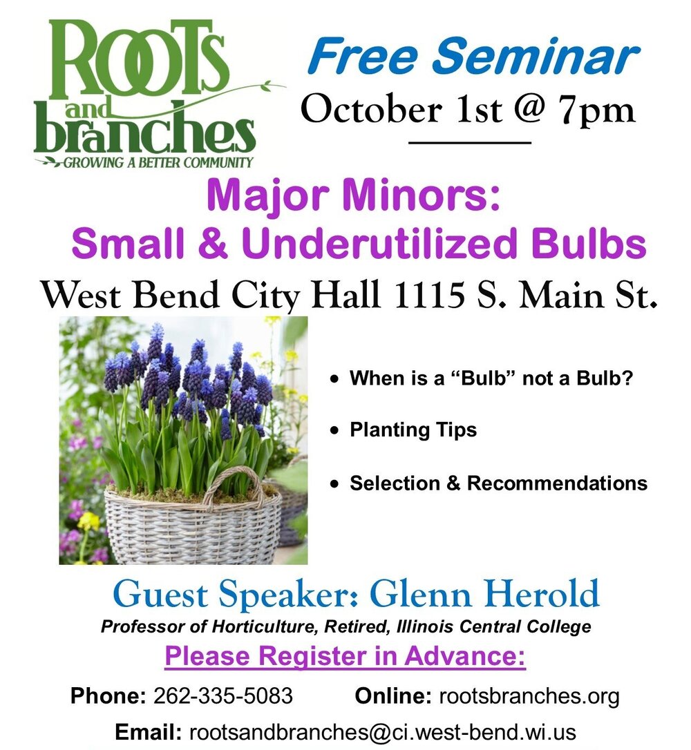 Bulbs+2019.jpg