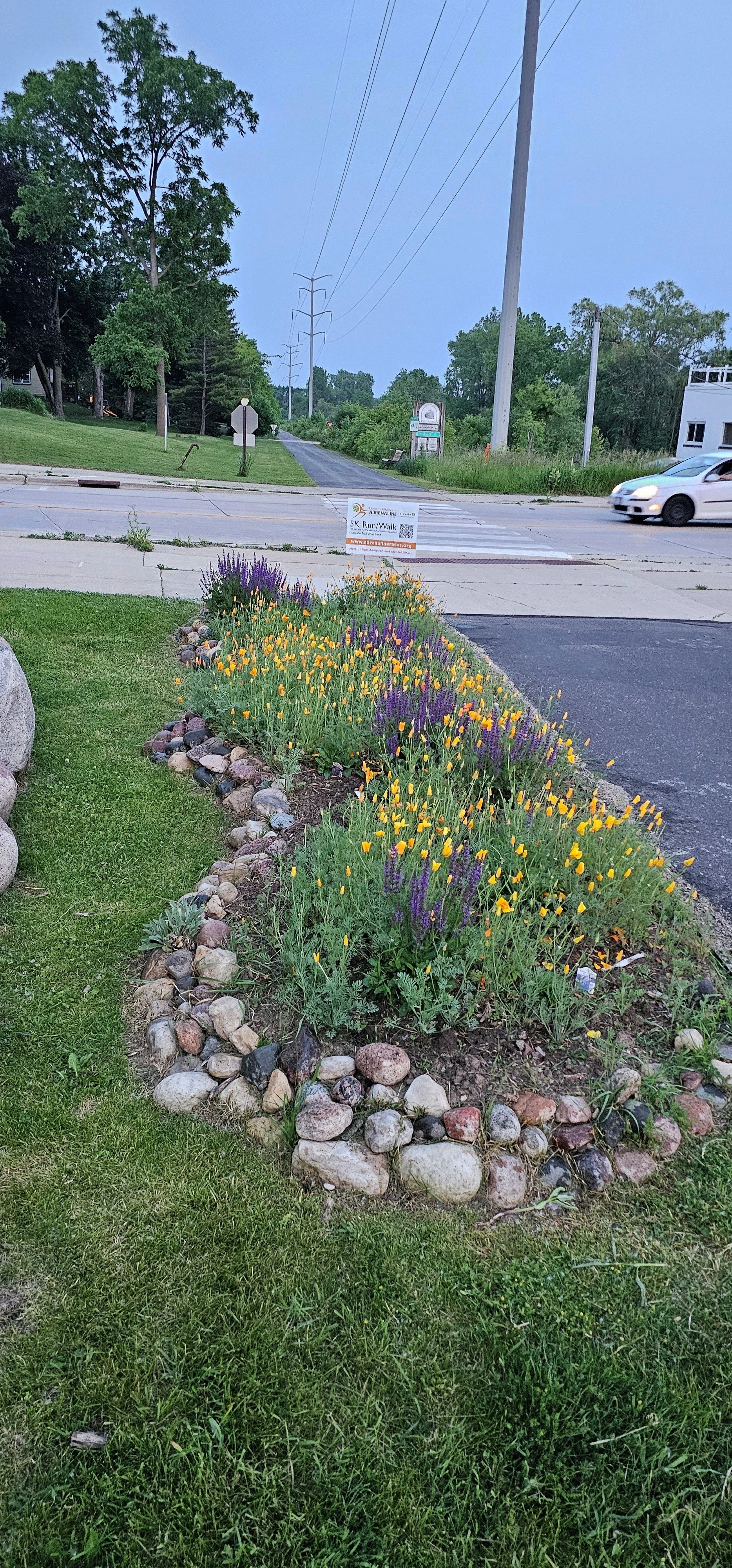 Barton from Justice.jpg