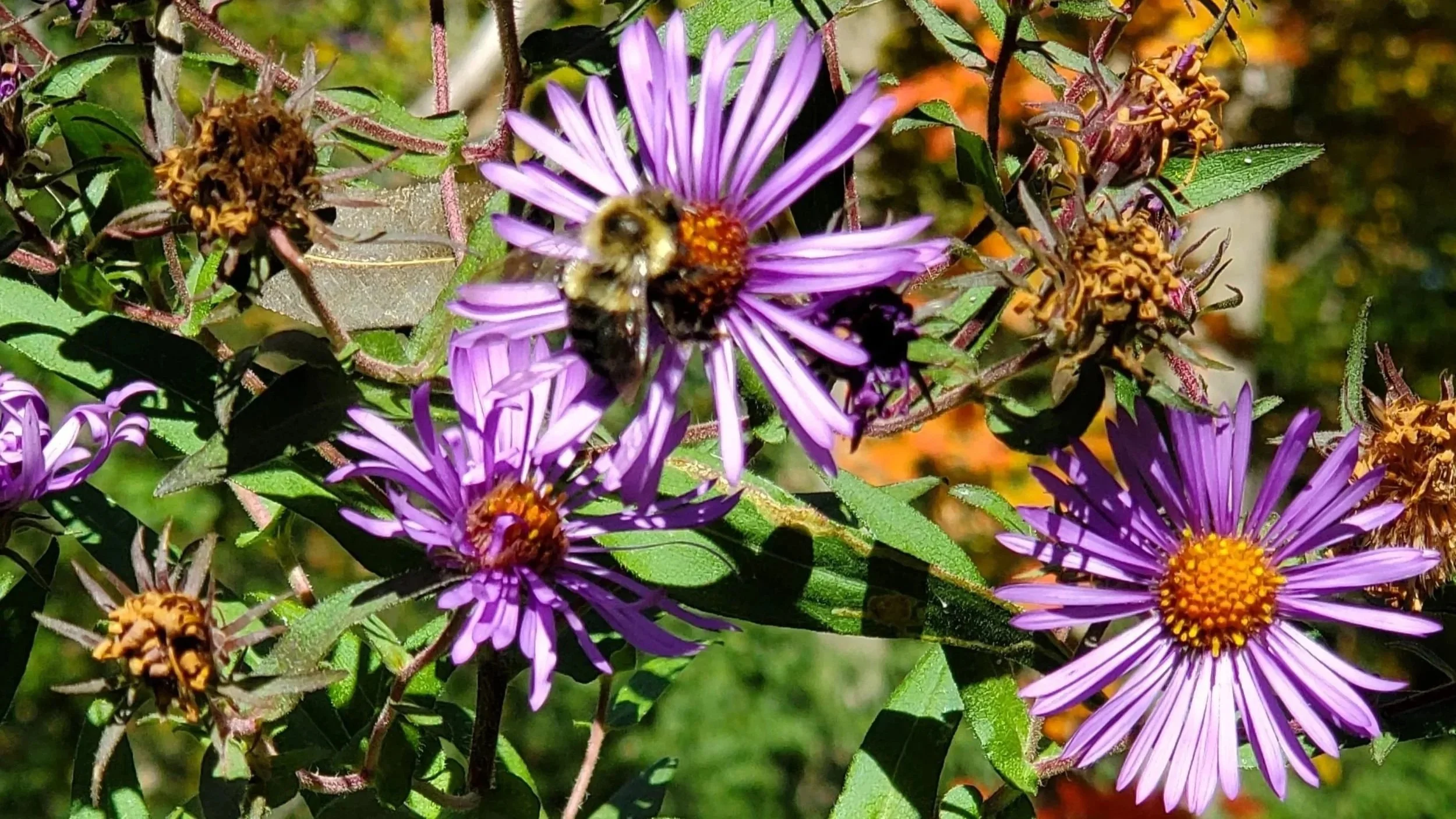 20221008_121501.jpg
