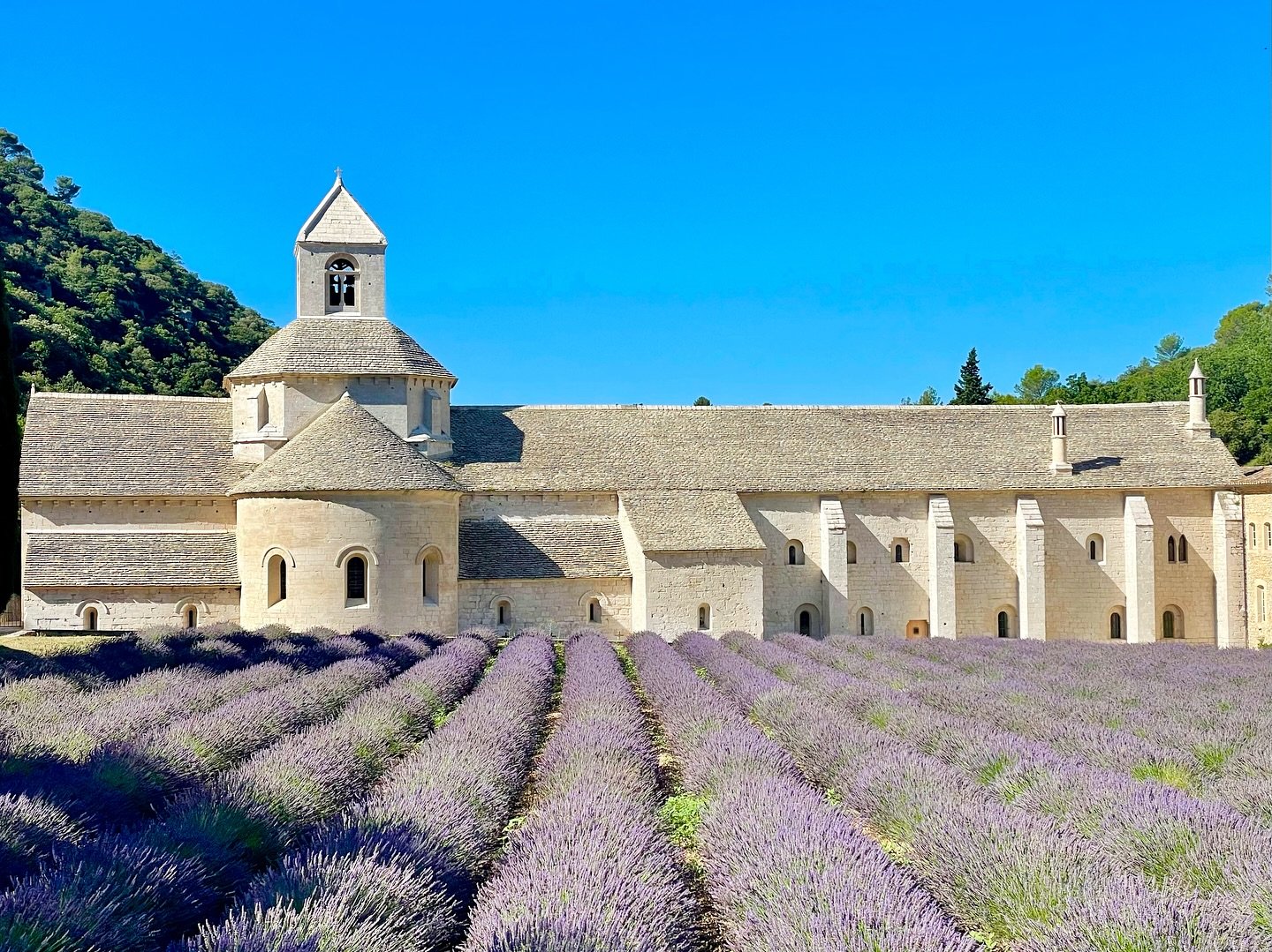 Lavender Fields, Provence 💜