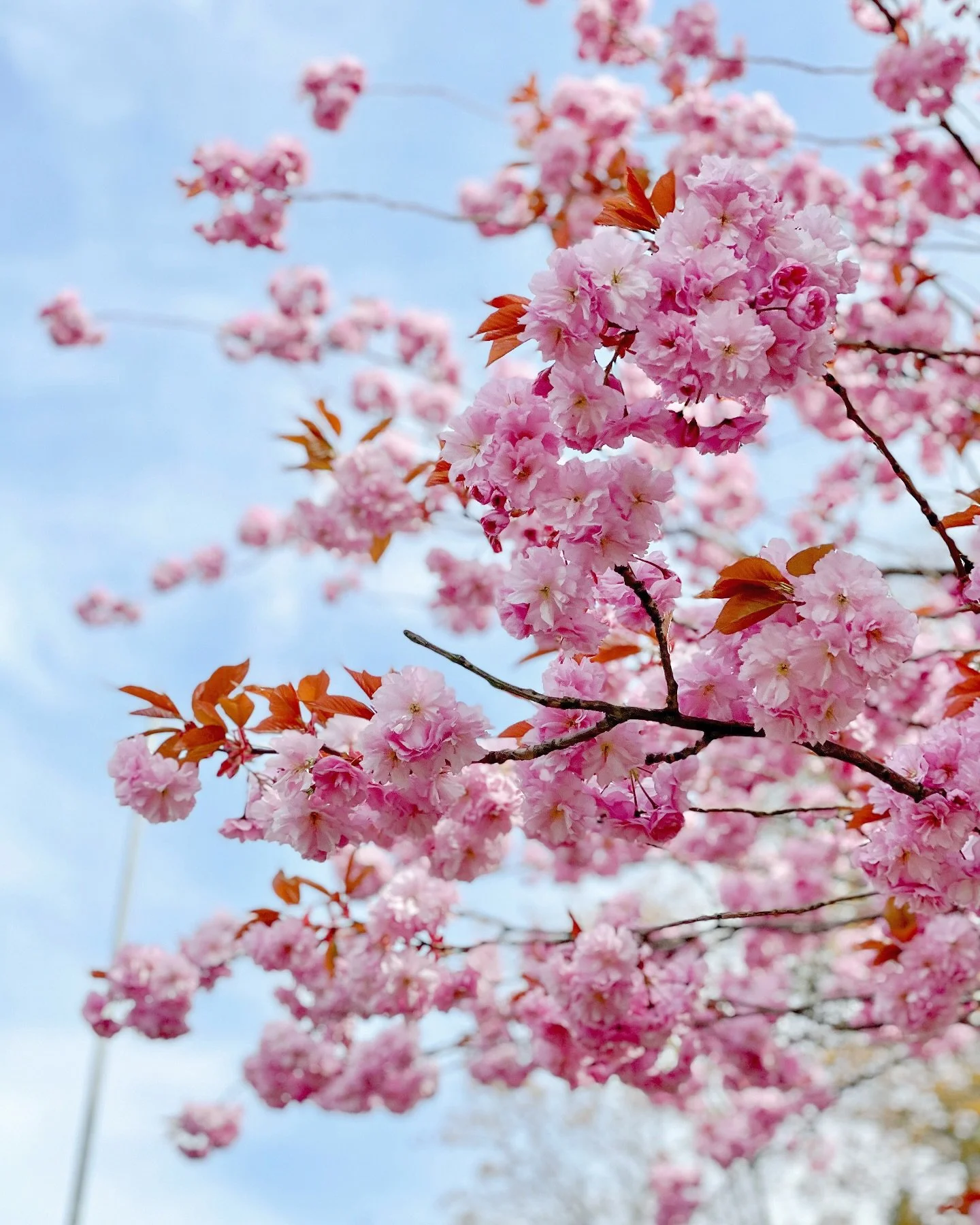 It&rsquo;s been a long old winter, but spring has finally sprung! 🌸