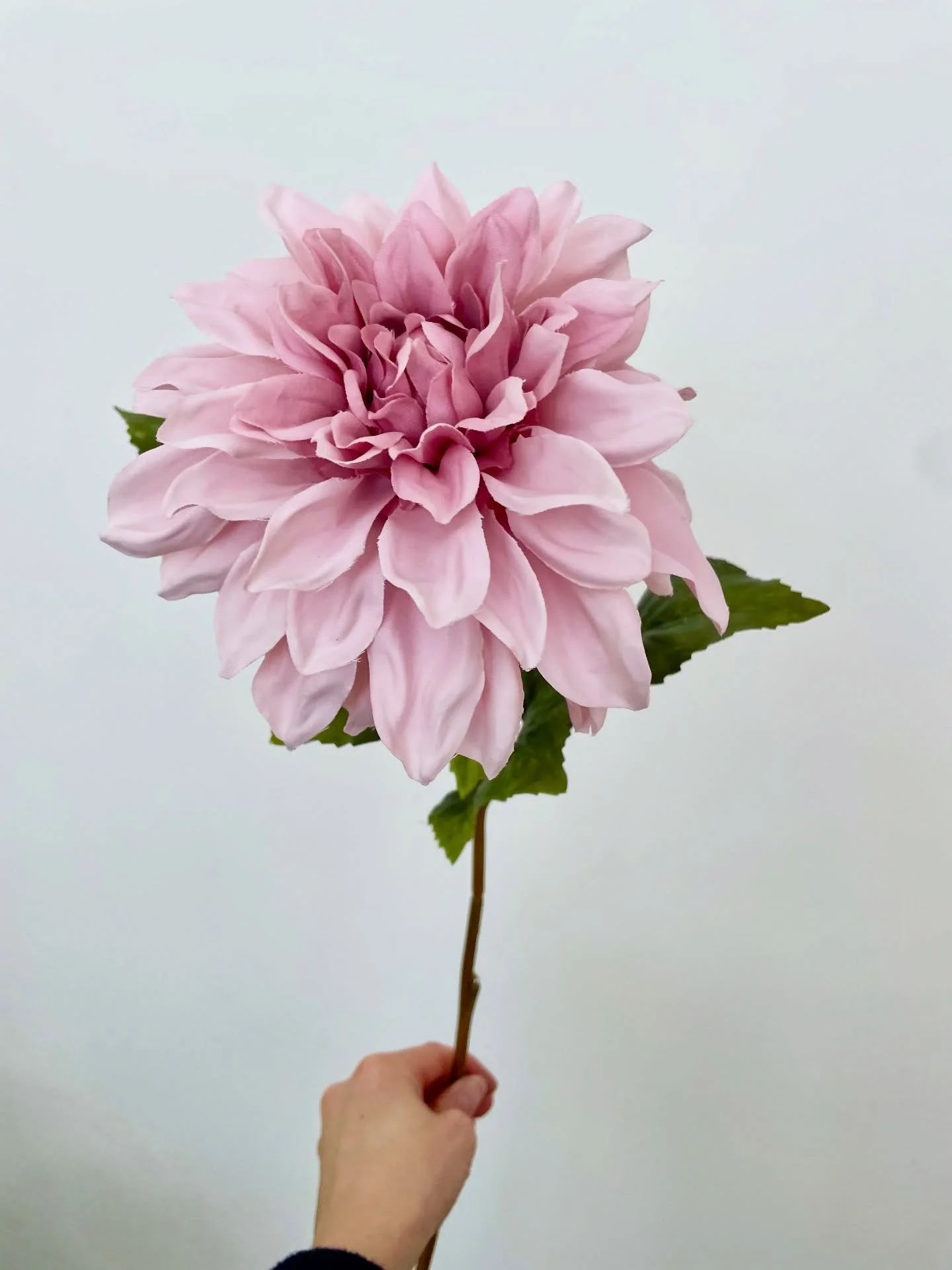 🌟 NEW BLOG POST🌟 - Are You Faux Real?
Read our latest blog post where we explore luxury faux florals - their craftsmanship, their benefits, and why they&rsquo;re becoming a thoughtful choice for modern events and interiors {Now live on our website 