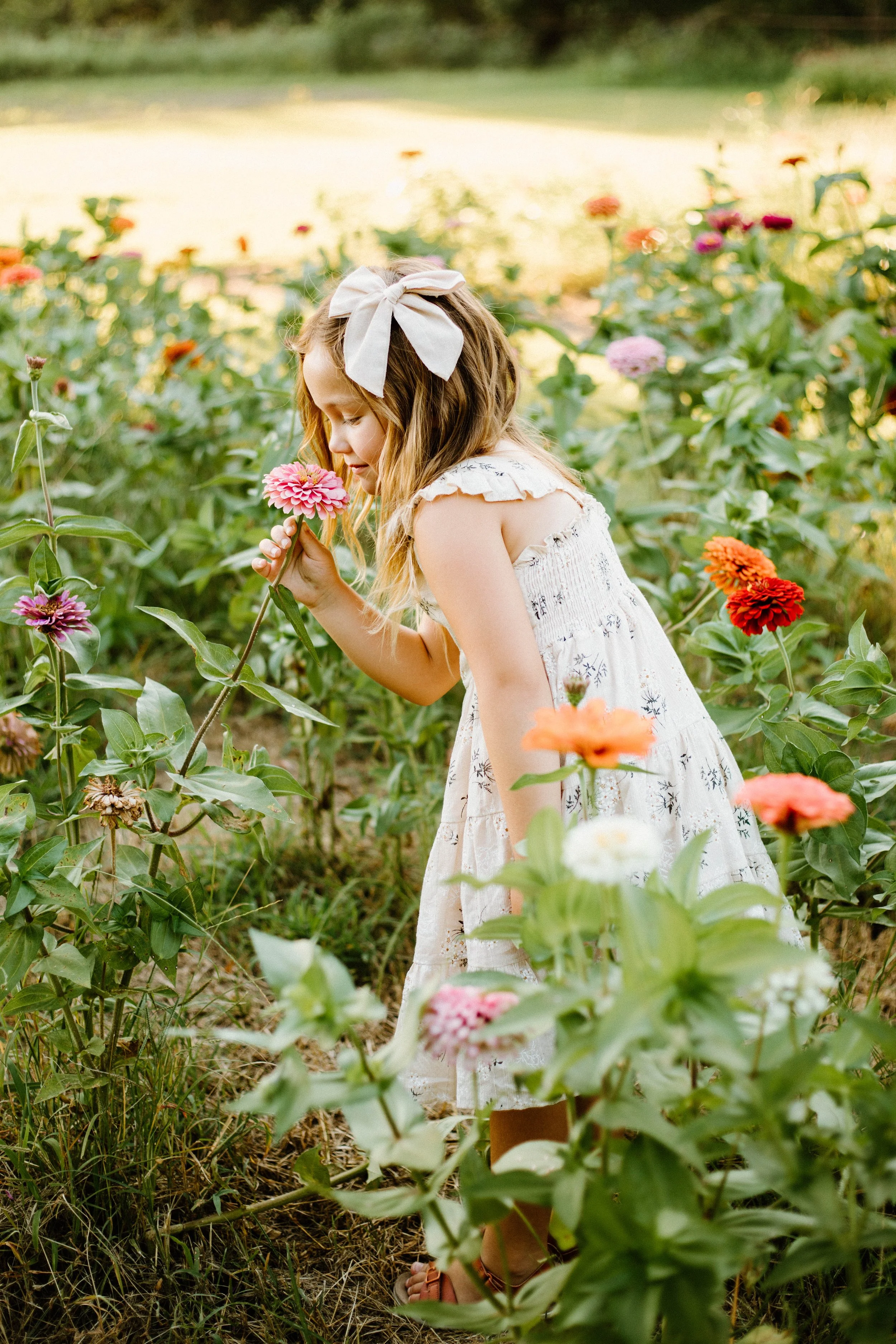 wildflower-mini-sessions-sunny-acres-farm-oklahoma.jpg