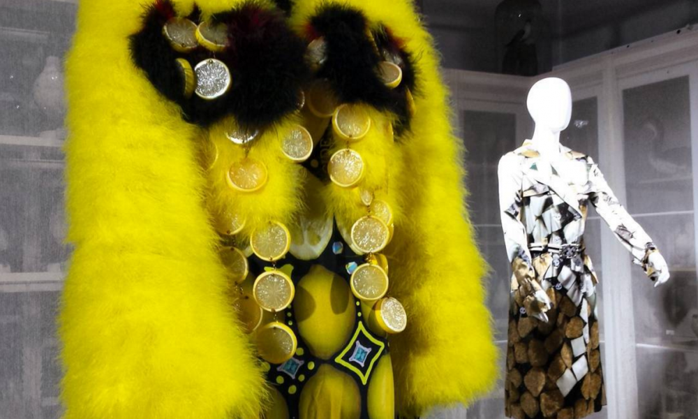 Textifood: food for clothing