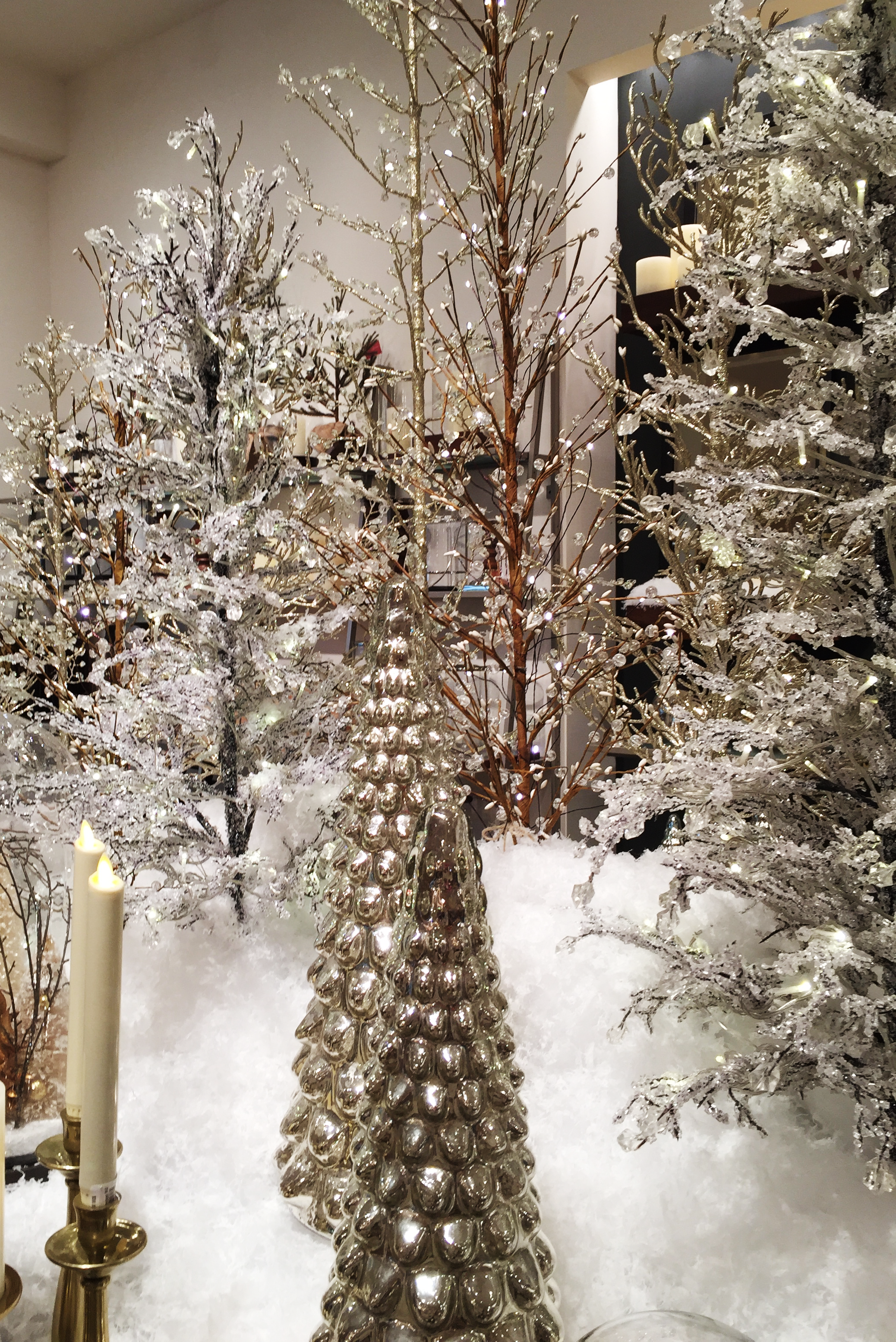 winter_wonderland.png