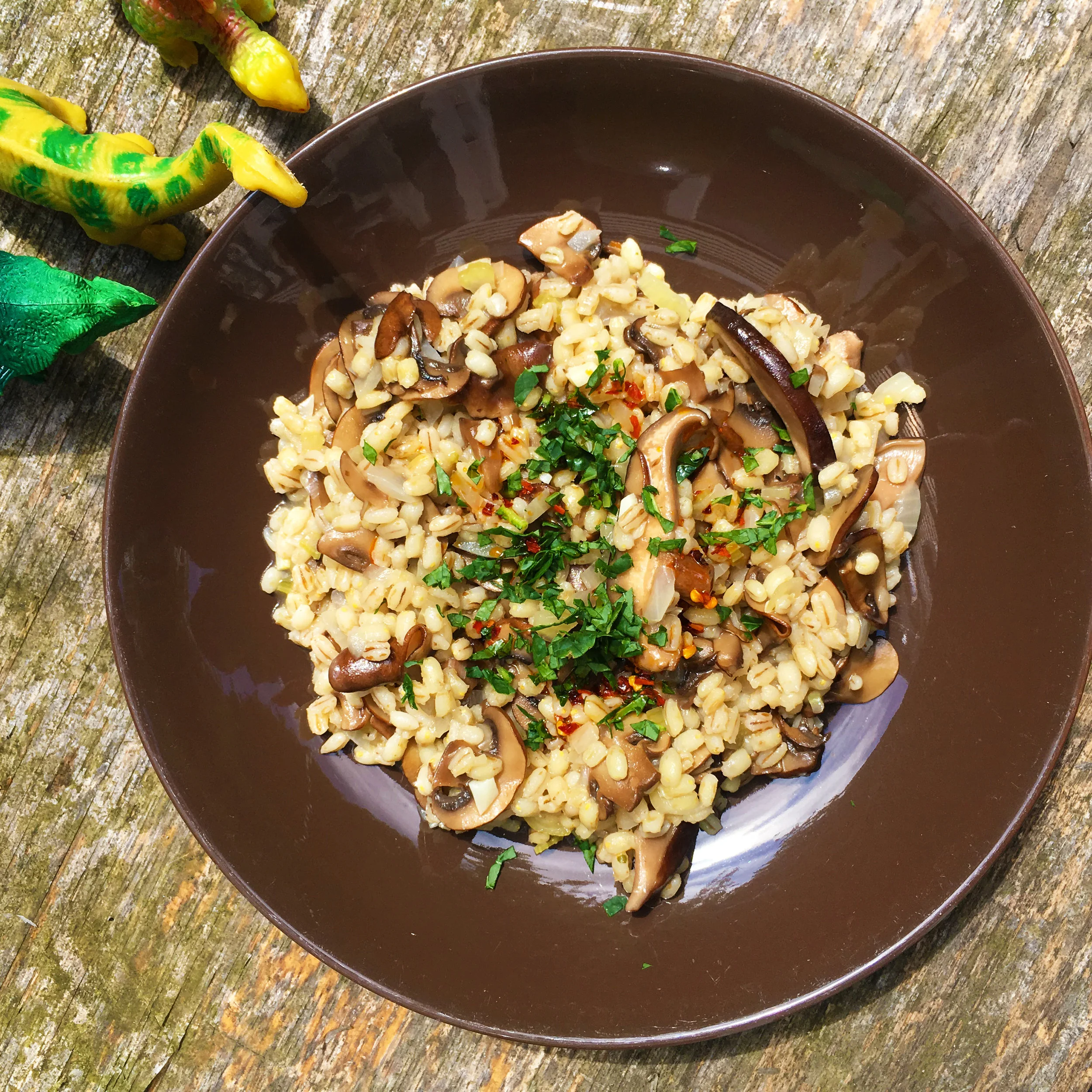 Deb's Barley and Mushroom Magic