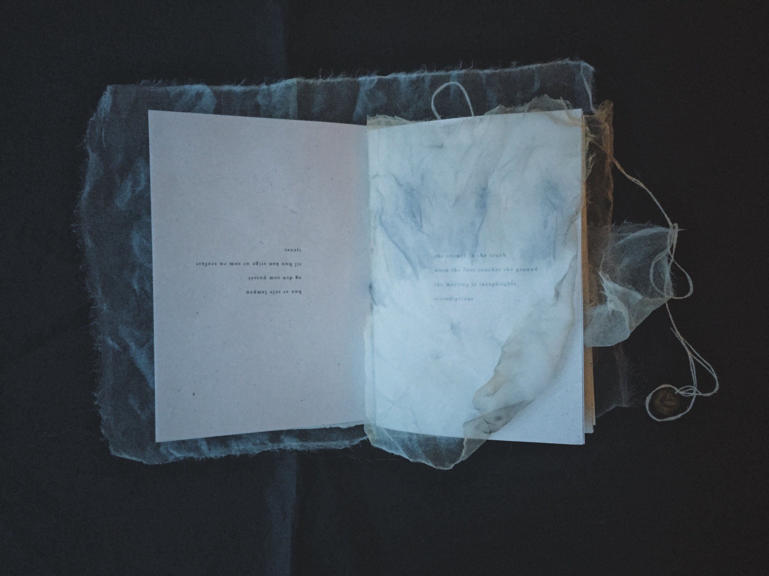  “Det er en nydelig diktsamling som jeg er så heldig å eie - den hviler på nattbordet mitt og jeg leser stadig i den.&nbsp;”  — Marit Kjetun, forfatter 