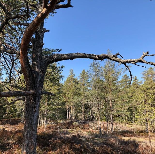 Trust that nature reaches out a hand for you, even in difficult times.