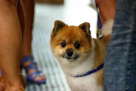 2017_15.02_db_db_sp (47).jpg