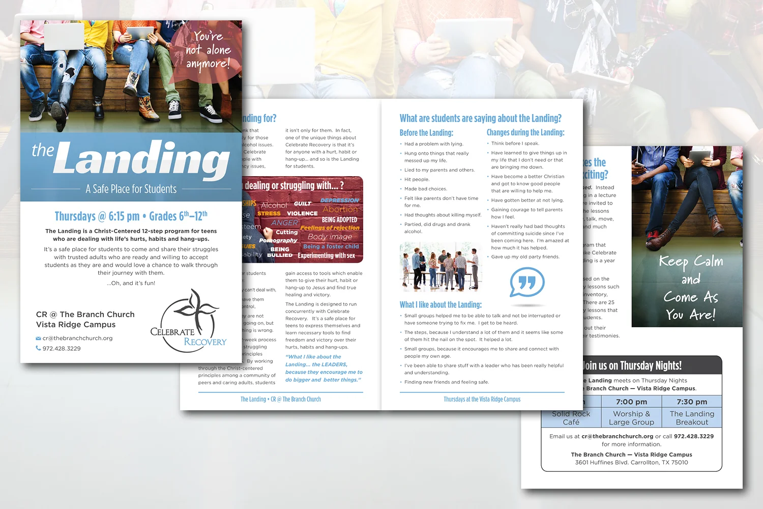 thelanding-campaign-brochure.jpg