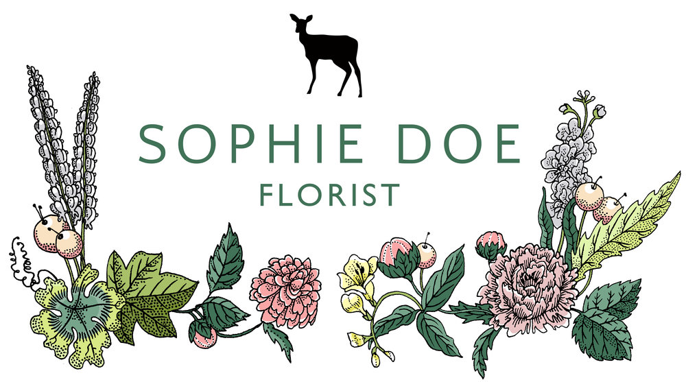 Sophie Doe Florist Petersfield
