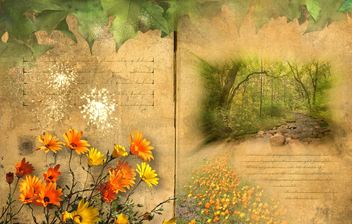 Book Wiisc trail creek new 10.jpg