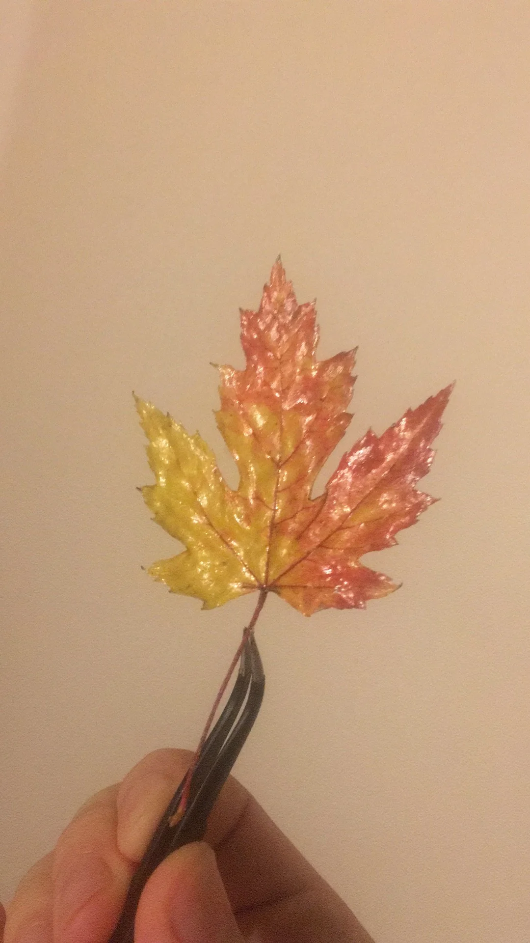 Maple Leaf Refrigerator Sticker