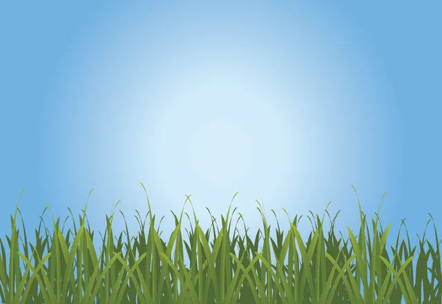 vector-grass-1159707[1].jpg