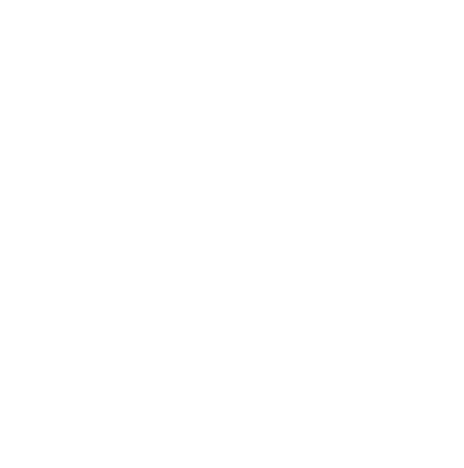 Skinny Devil Music Labs logo white on transparent-01.png