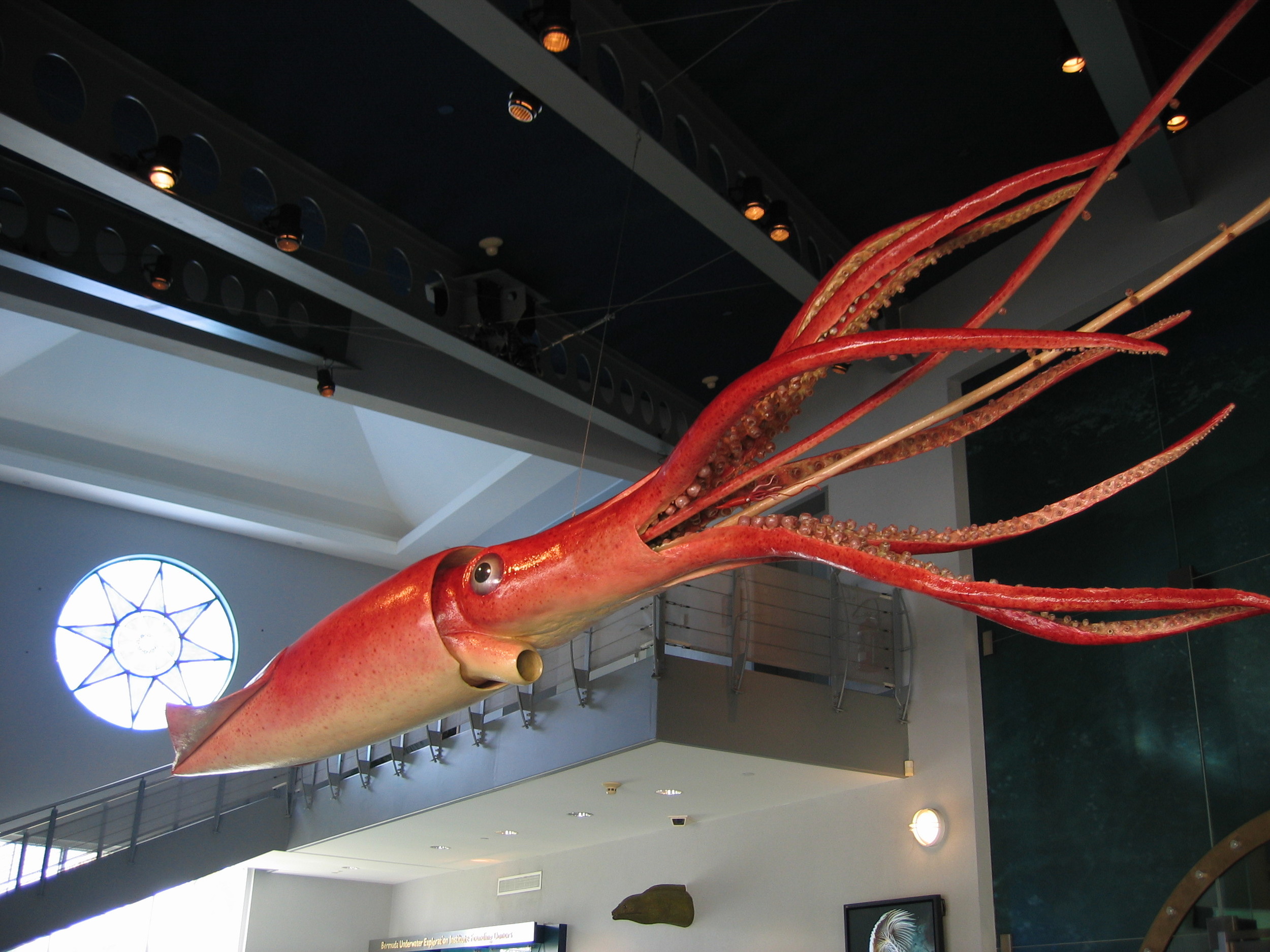 BUEI Shipwrecks - 203.JPG